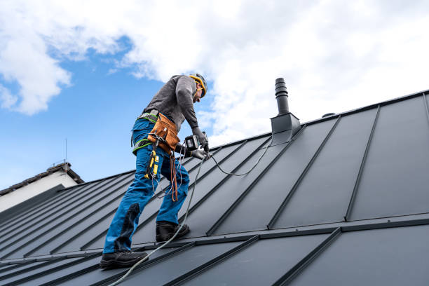 Best Roof Ventilation Installation  in Phenix City, AL